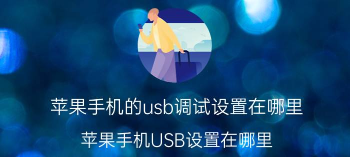 苹果手机的usb调试设置在哪里 苹果手机USB设置在哪里？